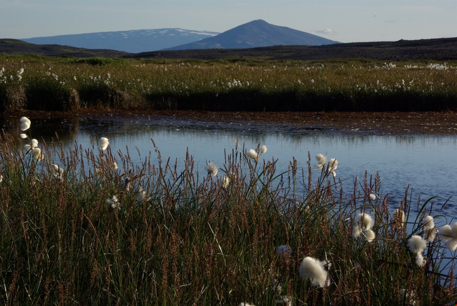 Karlakór Rangæinga og Söngbræður