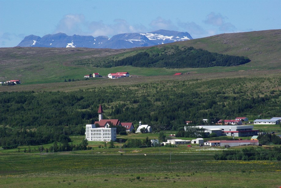 Líf í lundi - fjölskyldudagur við Reykholtsskóga